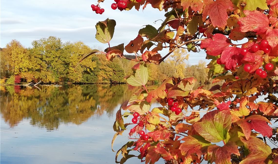 Abschied vom Herbst Am Aalkistensee. Andrea Scheck