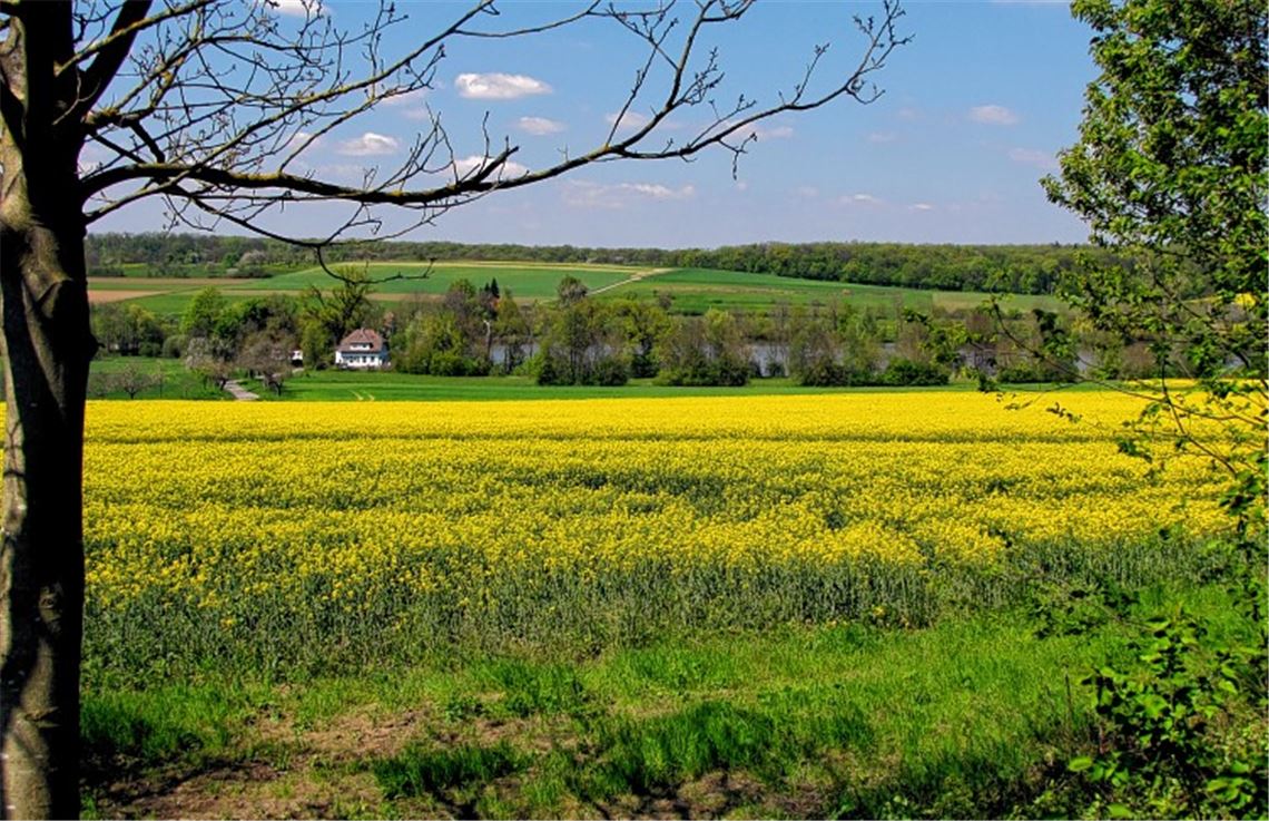 Frühlingsgefühle Frühlingsgefühle