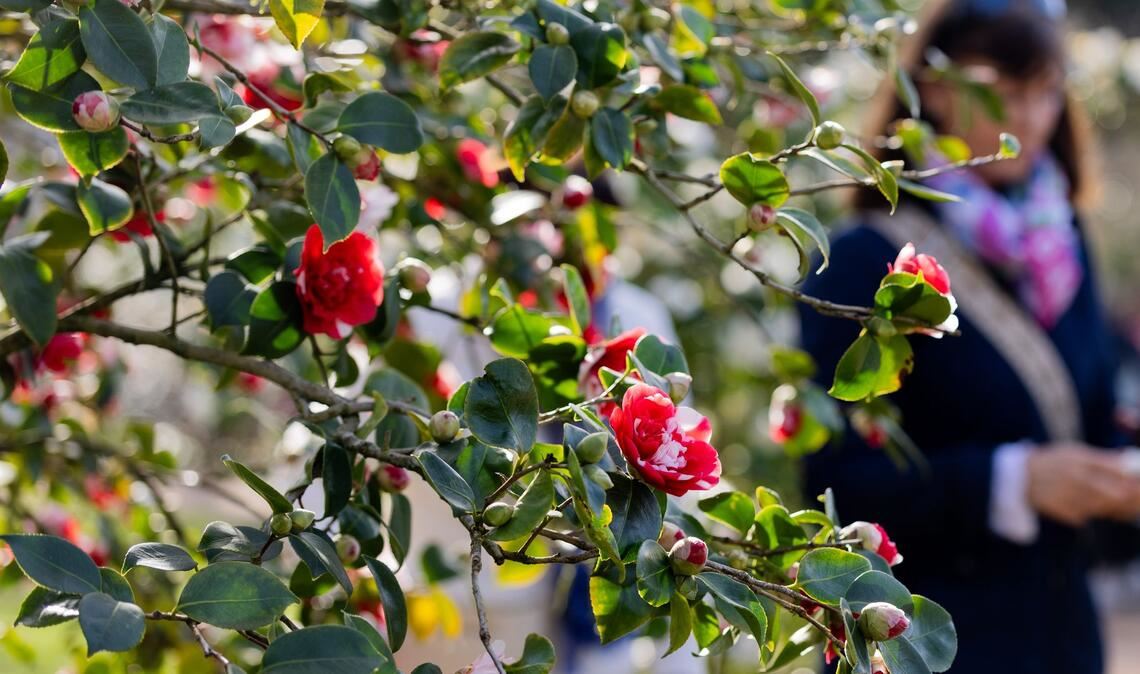 Am Dienstag sind vereinzelte Schauer und Gewitter "ganz zur Freude der langsam aufblühenden Natur" möglich, so Meteorologe Bauer.