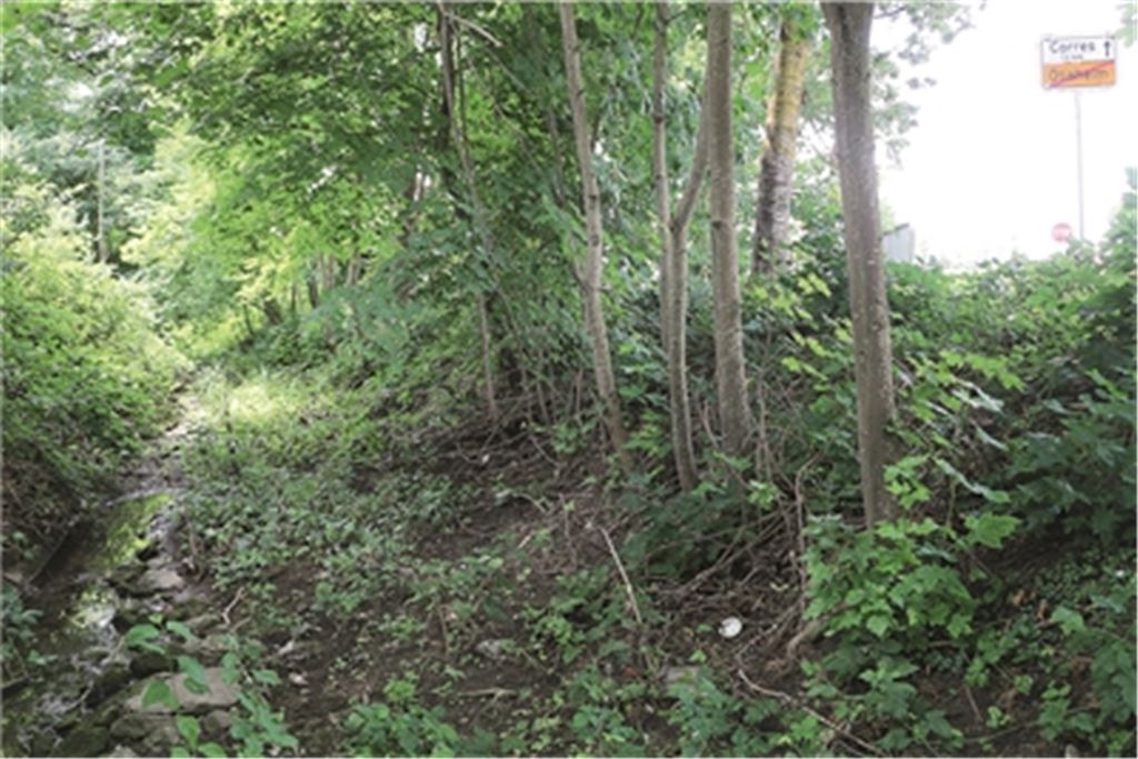 Am Erlenbach wird nahe der Corremer Kreuzung zum Schutz vor einer Überflutung des Ortskerns entlang der Wallgrabenstraße zusätzlich noch eine Blocksteinmauer errichtet.  Foto: Wewoda