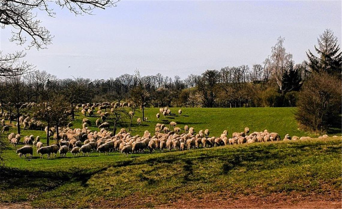 Frühlingsgefühle