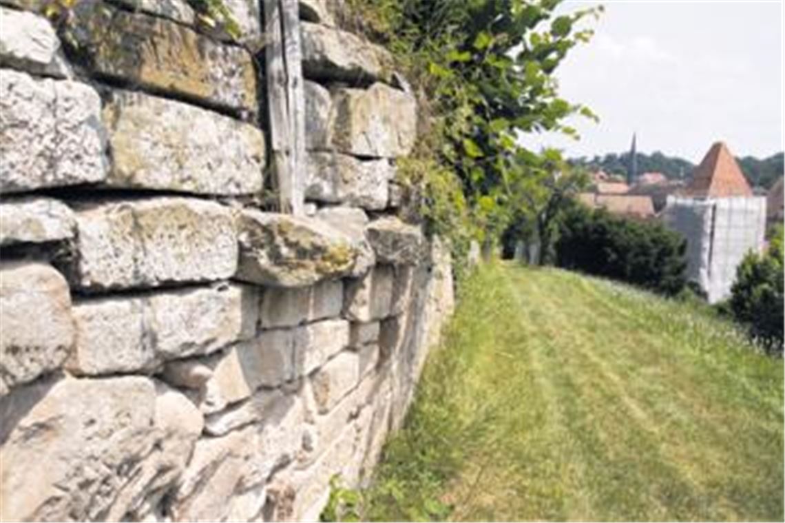 Am Maulbronner Klosterberg drückt tonnenschweres Erdreich gegen die Trockenmauern. Die Instandhaltung der denkmalgeschützten Gemäuer in direkter Nachbarschaft des Welterbes ist eine Dauerbaustelle. Bald soll zumindest ein Teil der verfallenen Stellen repariert werden. Foto: Disselhoff