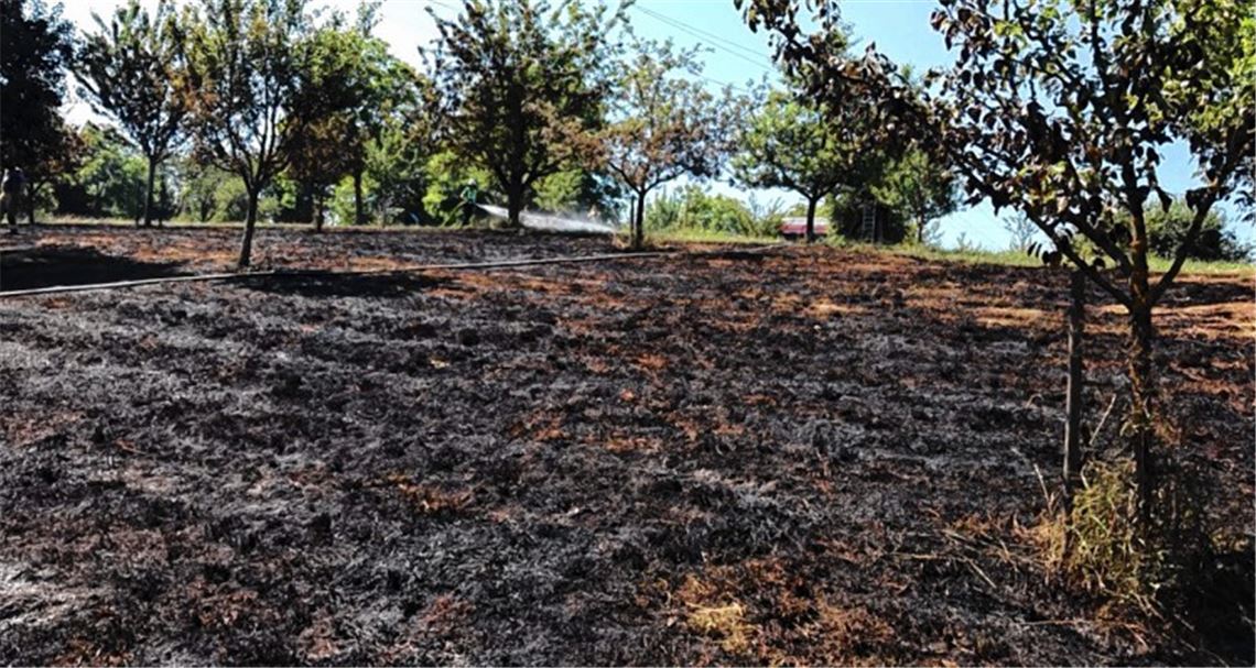 Wiesenbrand: Wehr braucht 15000 Liter Wasser