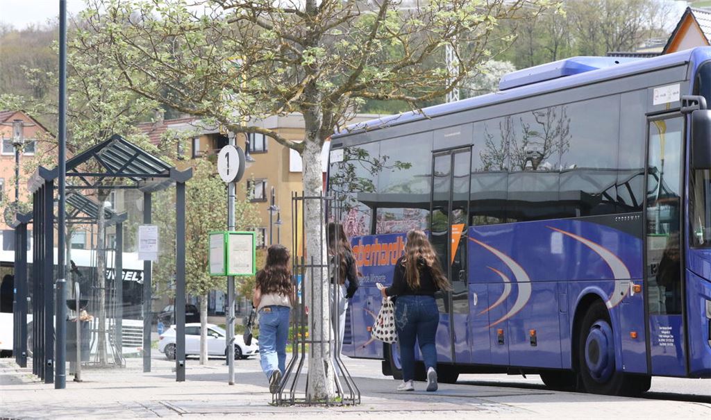 Am Montag befasst sich der Umwelt- und Verkehrsausschuss des Kreistags mit einer Anhebung der VPE-Fahrpreise um durchschnittlich 7,5 Prozent. Symbolfoto: Archiv