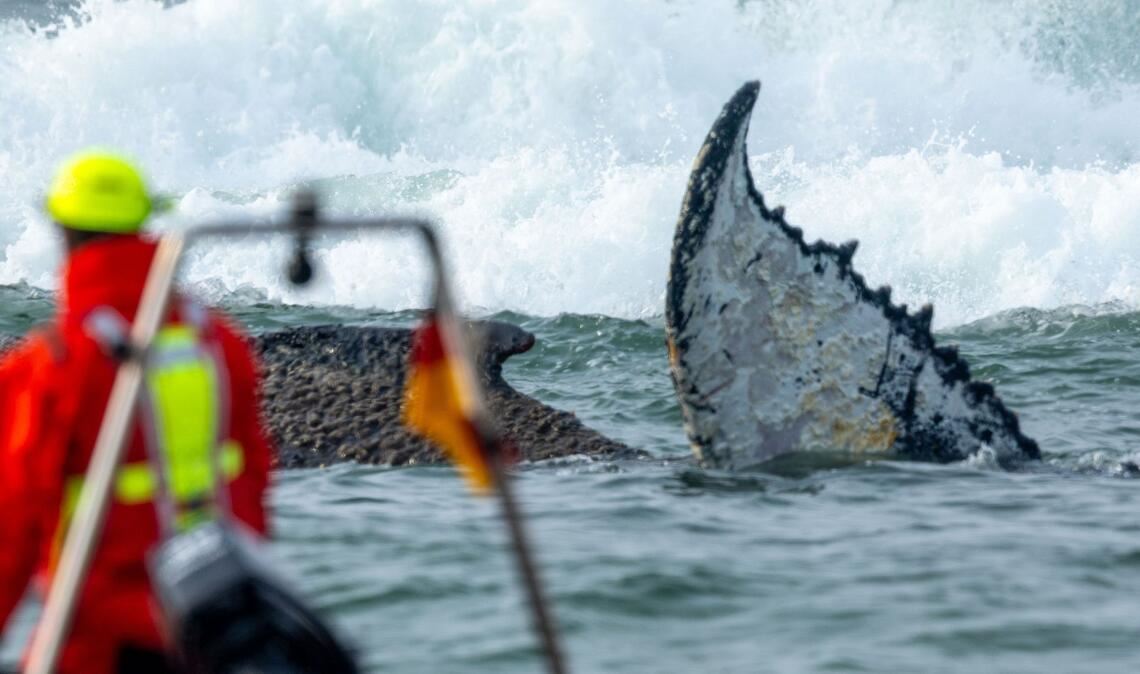 Am Nachmittag wurde ein weiterer Rettungsversuch unternommen.