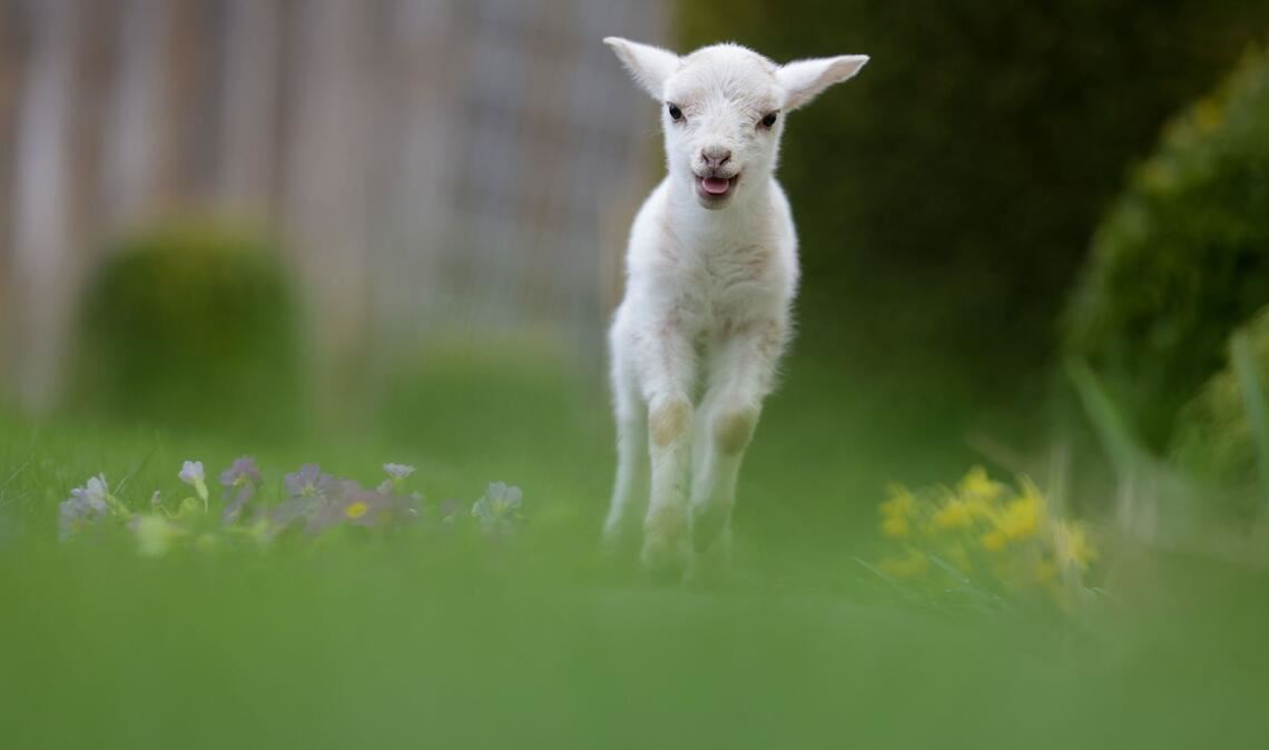 Am Osterwochenende zeigt sich das Wetter im Südwesten von seiner launischen Seite.