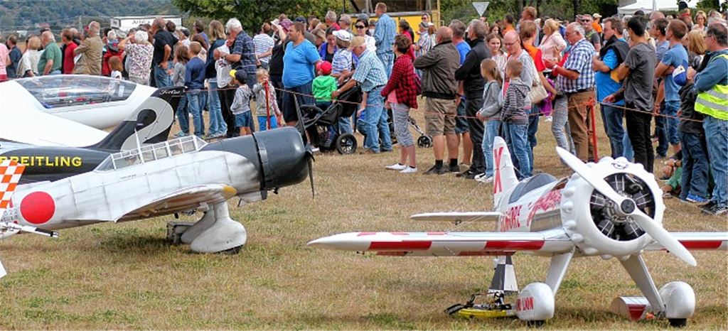 Piloten begeistern mit Kunstflügen