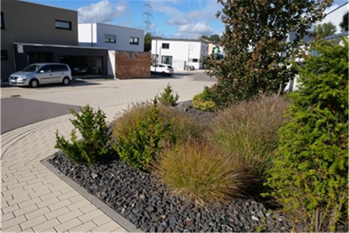 Am Schotter in Vorgärten scheiden sich die Geister. Foto: Friedrich