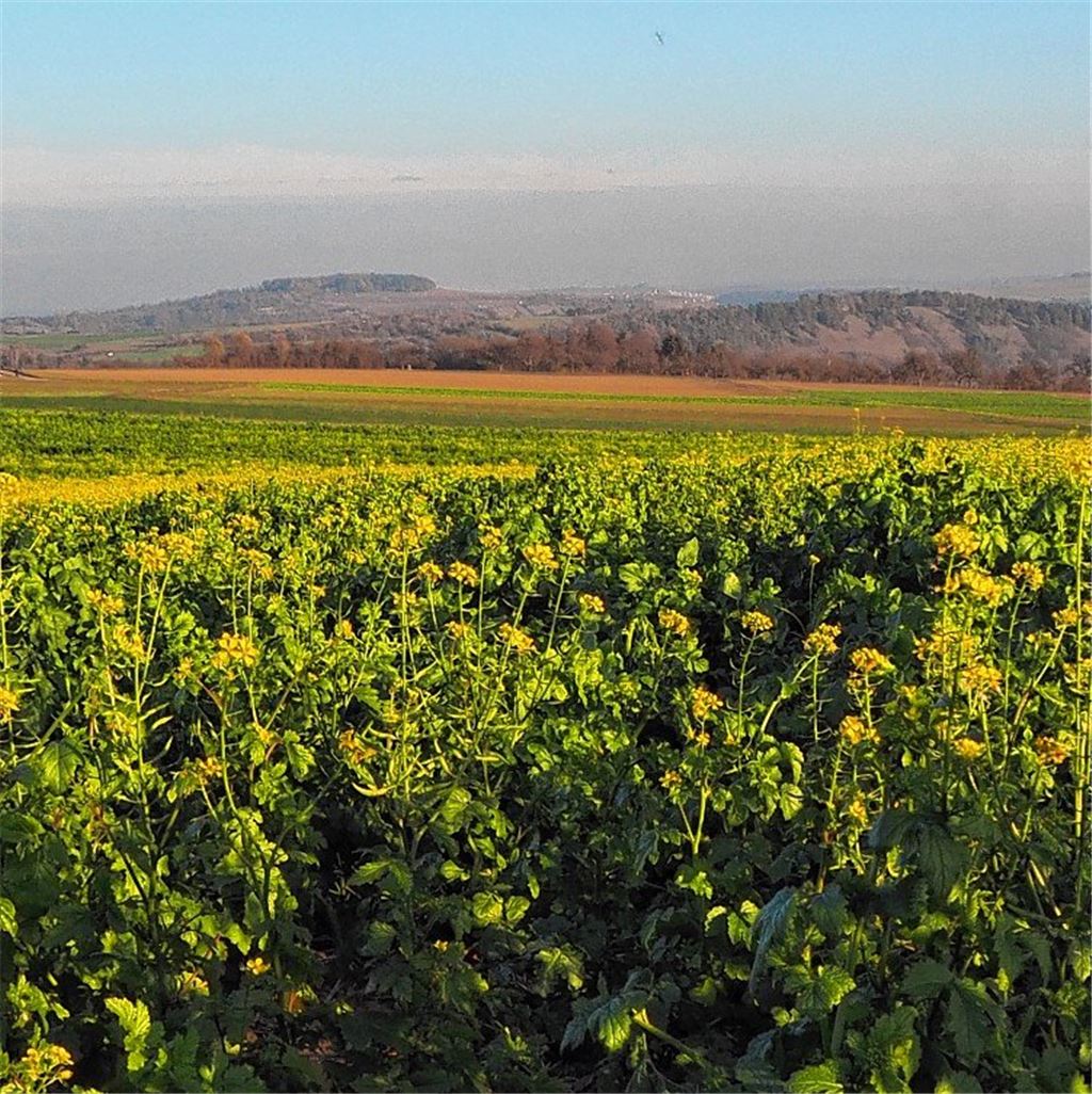 Herbstfarben
