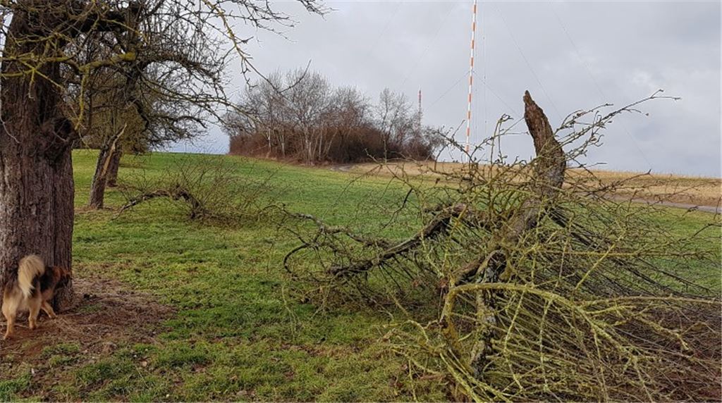 „Egon“ blockiert Straßen und legt Zugverkehr lahm