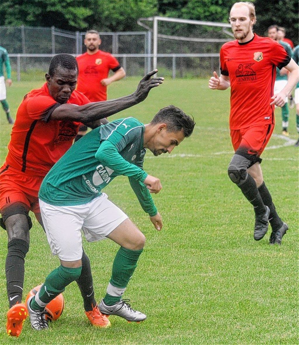 „Haben viel Qualität“ – aber...