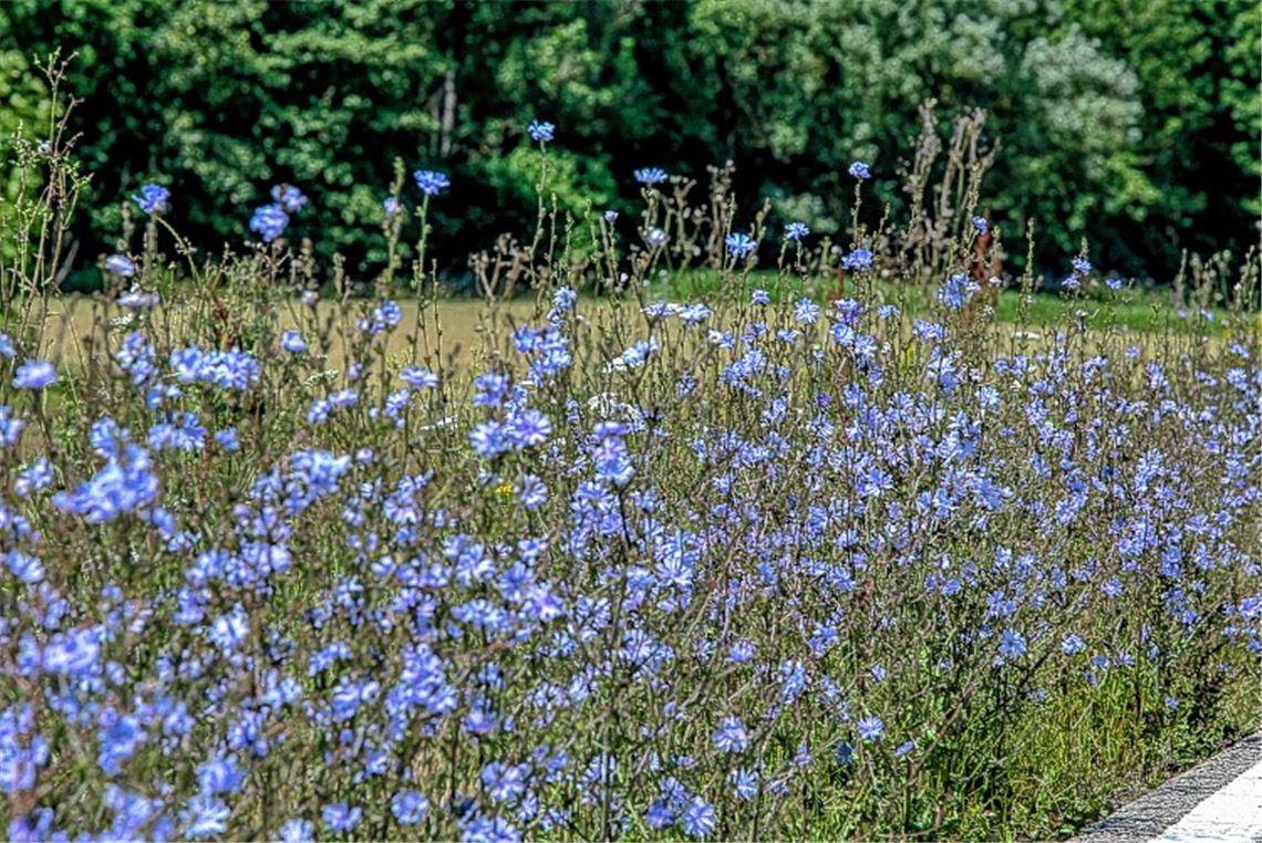 Sommerzeit