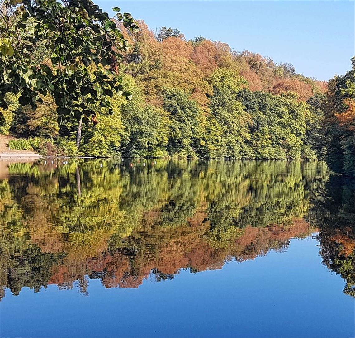 Herbstfarben Herbstfarben