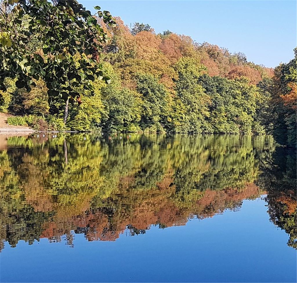 Herbstfarben