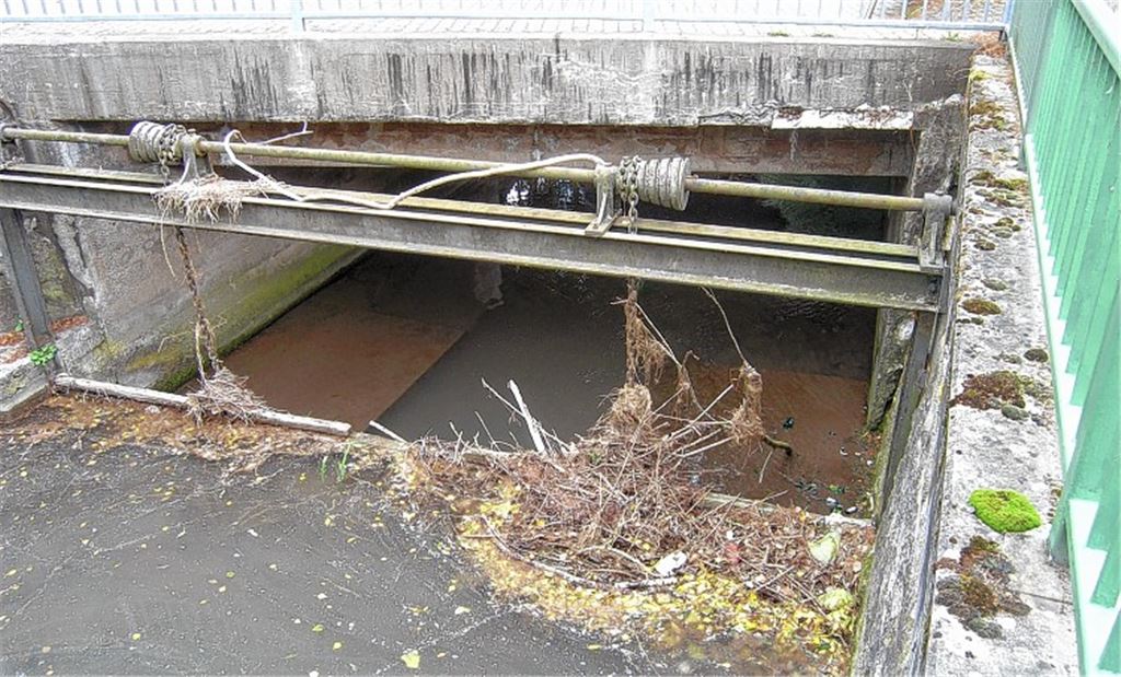 Am Wehr staut sich, was an Ästen und Gras im Erlenbach gelandet ist.