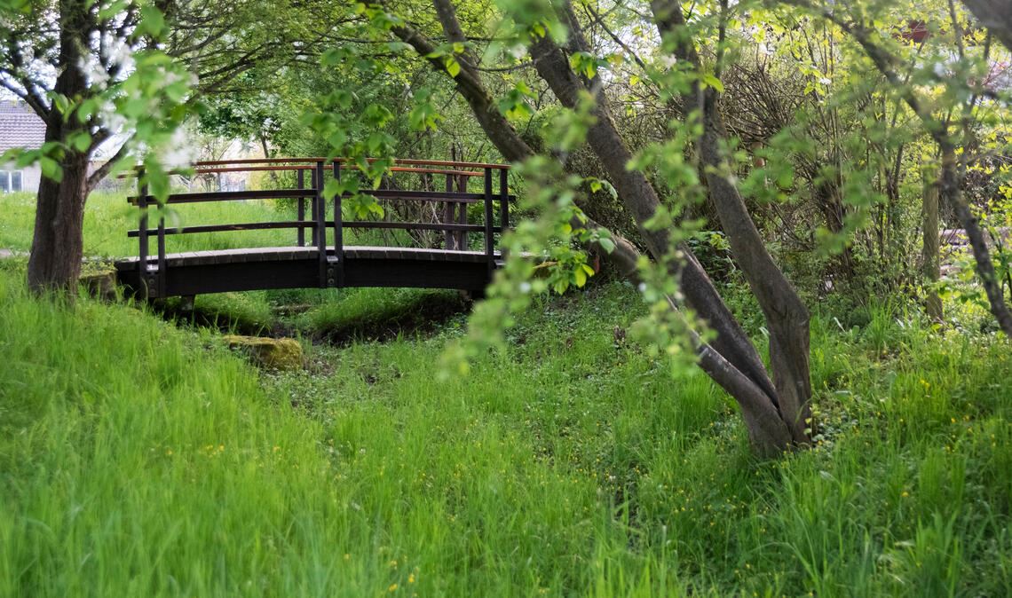 Am Wenzel-Graben könnten Retentionsmaßnahmen stattfinden. Foto: Fotomoment