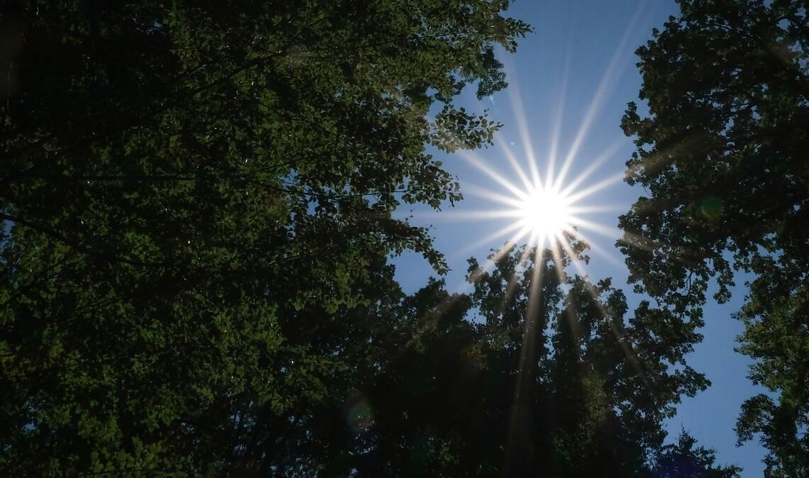 Am Wochenende kommt im Südwesten häufig die Sonne raus.
