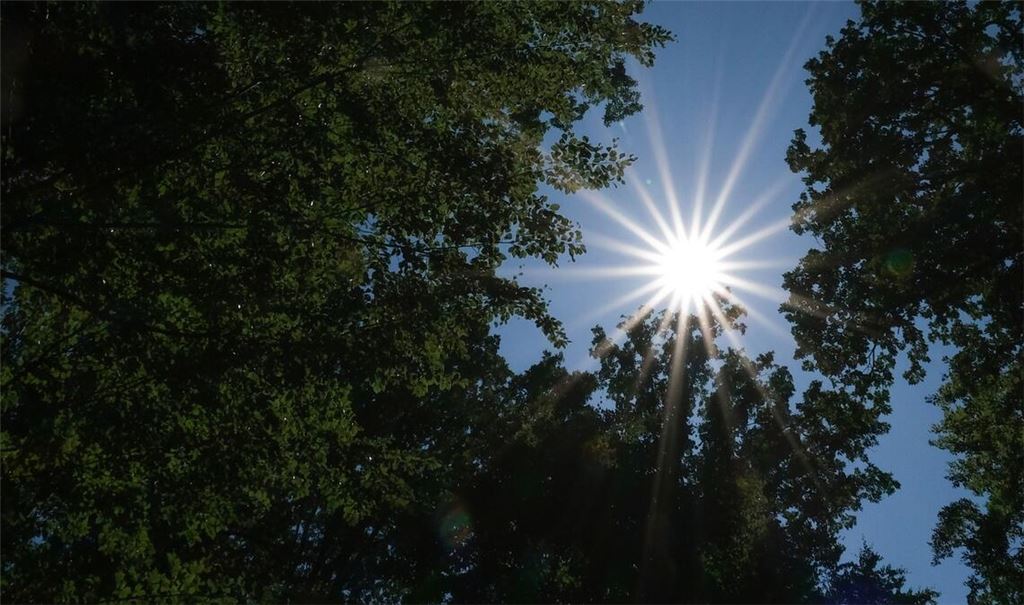 Am Wochenende kommt im Südwesten häufig die Sonne raus.