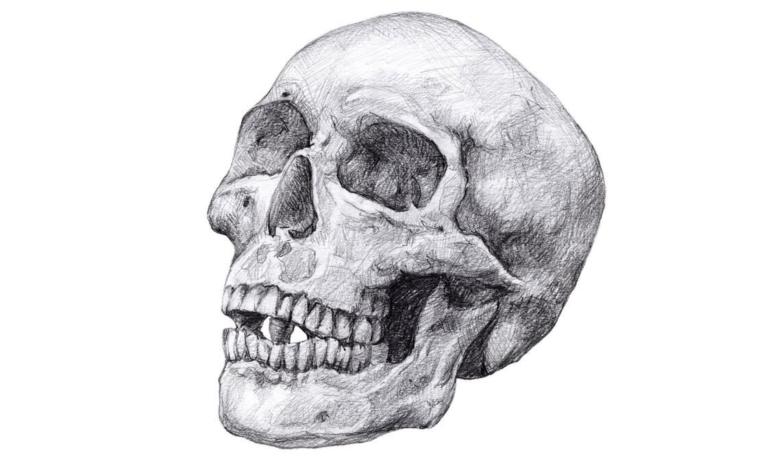 Am archäologischen Fundplatz Vráble Vel’ke-Lehemby in der Slowakei sind Dutzende Skelette ohne Kopf gefunden worden. Wo befinden sich die Köpfe?