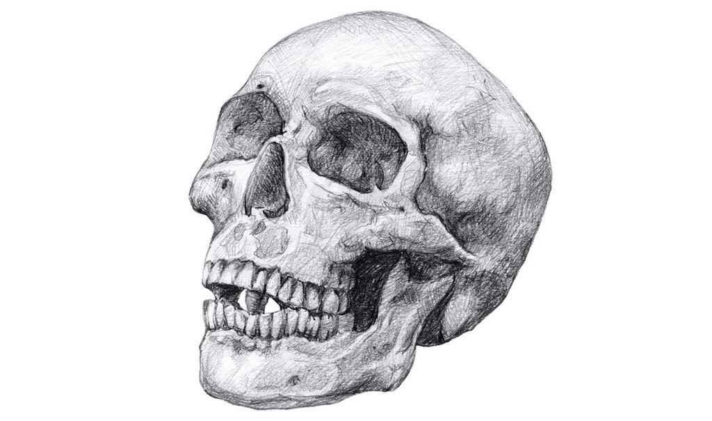 Am archäologischen Fundplatz Vráble Vel’ke-Lehemby in der Slowakei sind Dutzende Skelette ohne Kopf gefunden worden. Wo befinden sich die Köpfe?