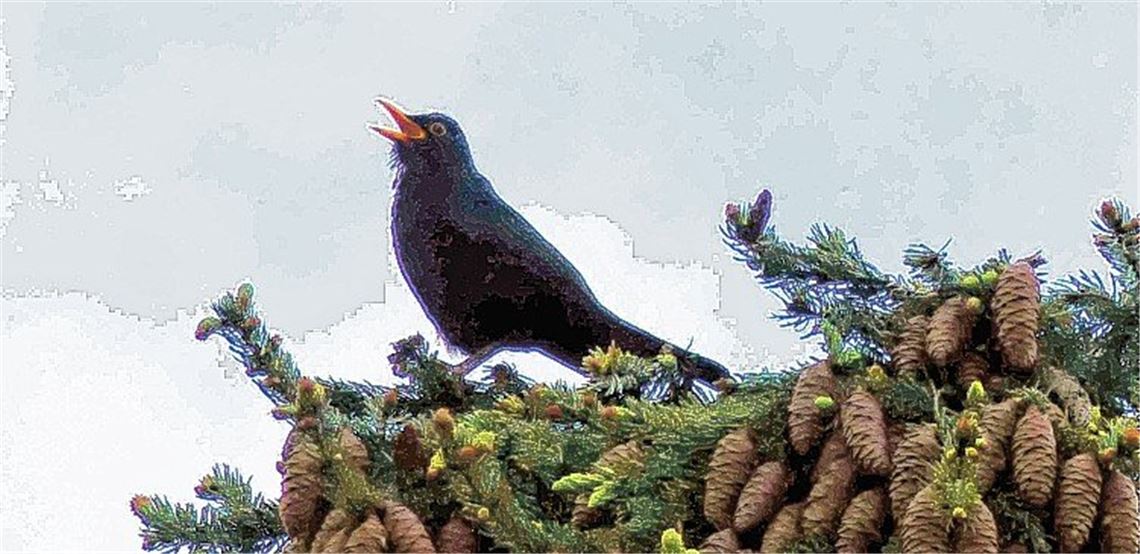 Frühlingsgefühle Frühlingsgefühle