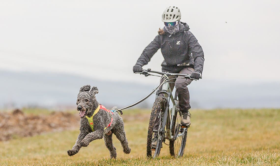 Amy Dieter und Loki gewinnen bei der Jugend das Rennen über 2060 Meter im Bikejöring. Foto: Katrin Laack
