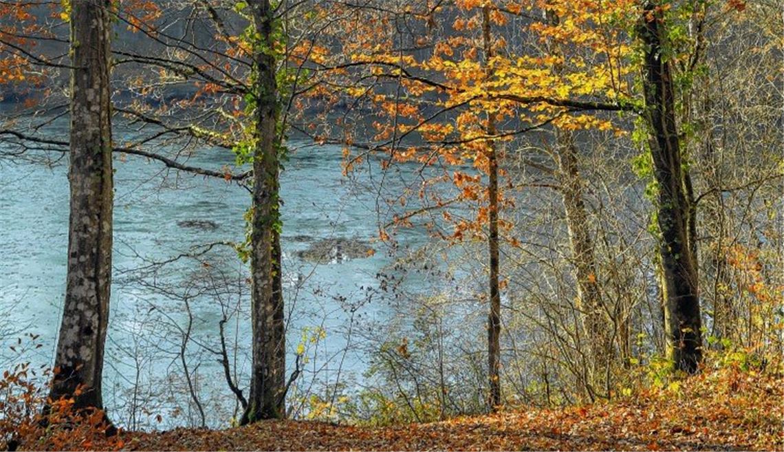 Herbstfarben Herbstfarben