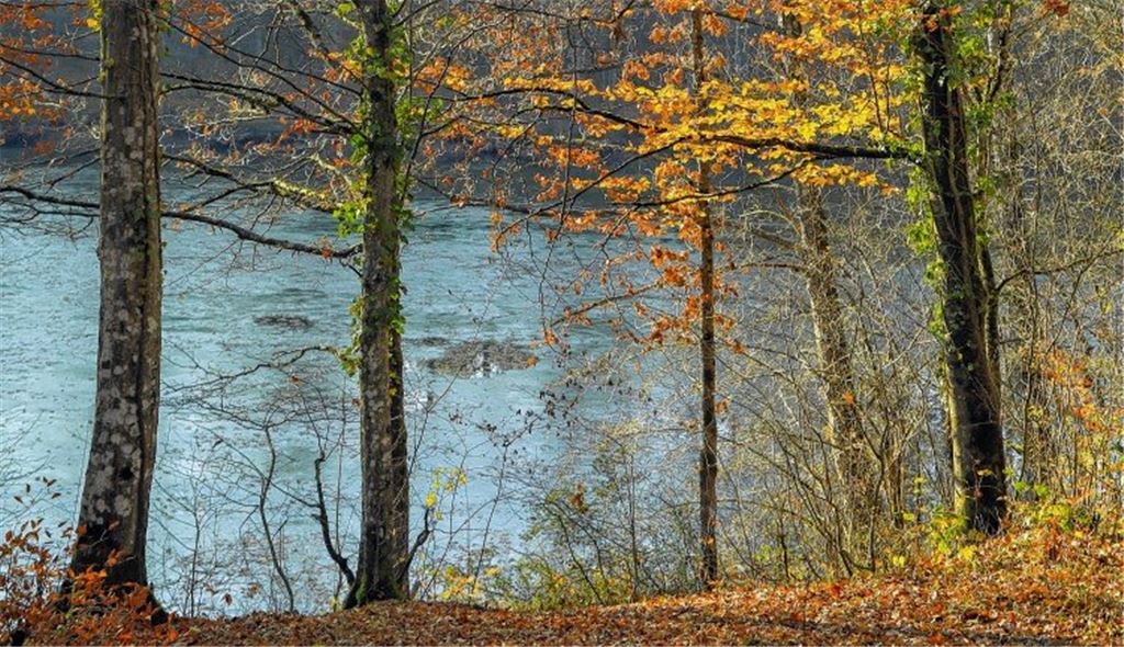 Herbstfarben