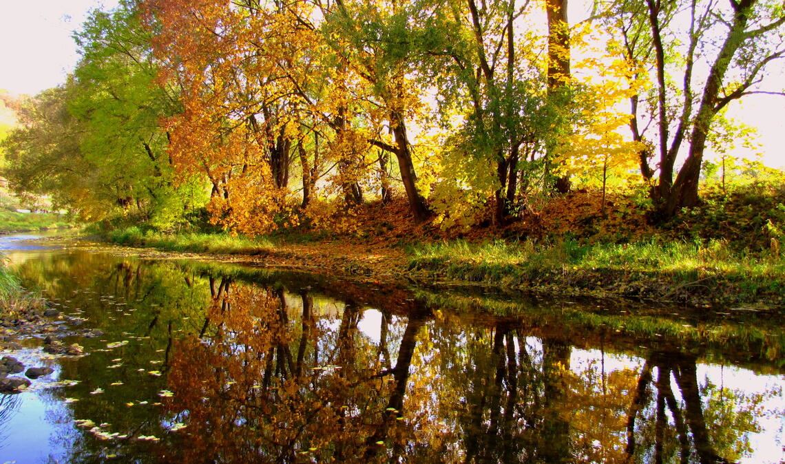 An der Enz. Foto: Wolfgang Dorn