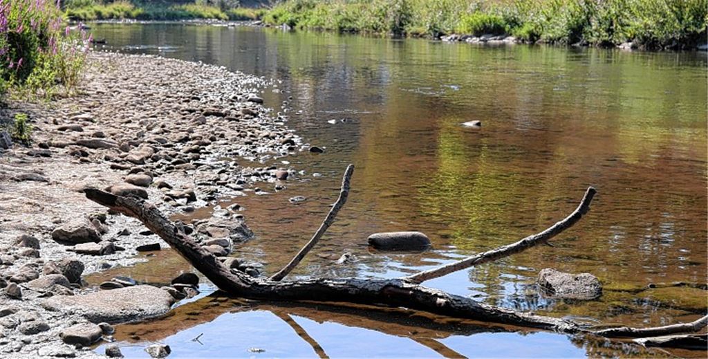 Gewässer brauchen eine Abkühlung