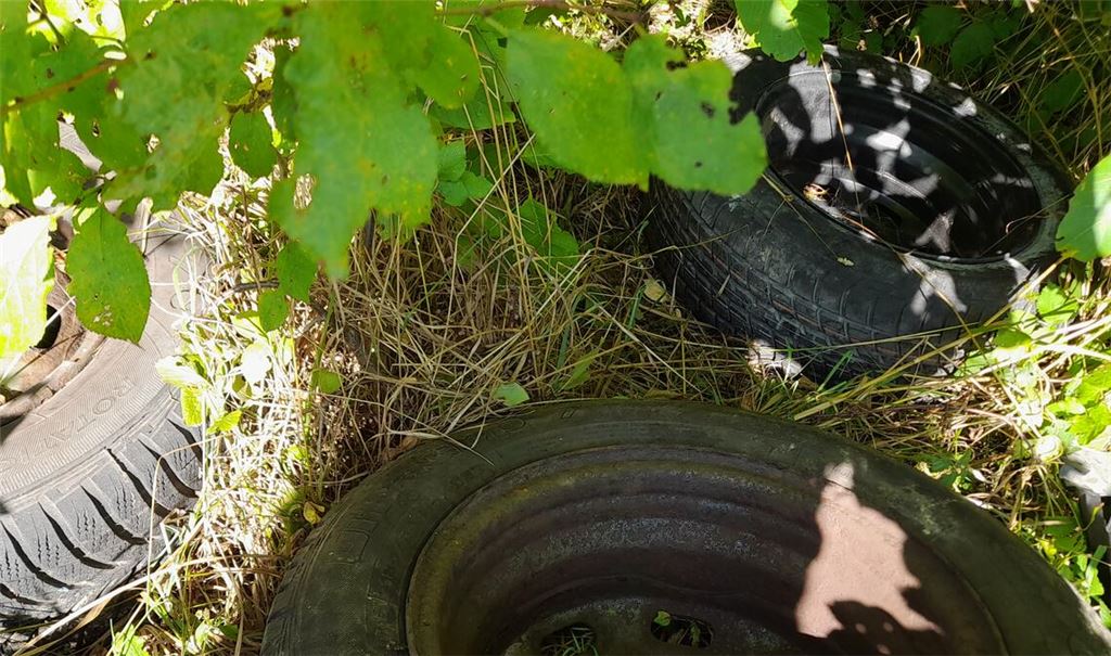 An der Grillhütte Staig haben Unbekannte Altreifen entsorgt. Foto: privat