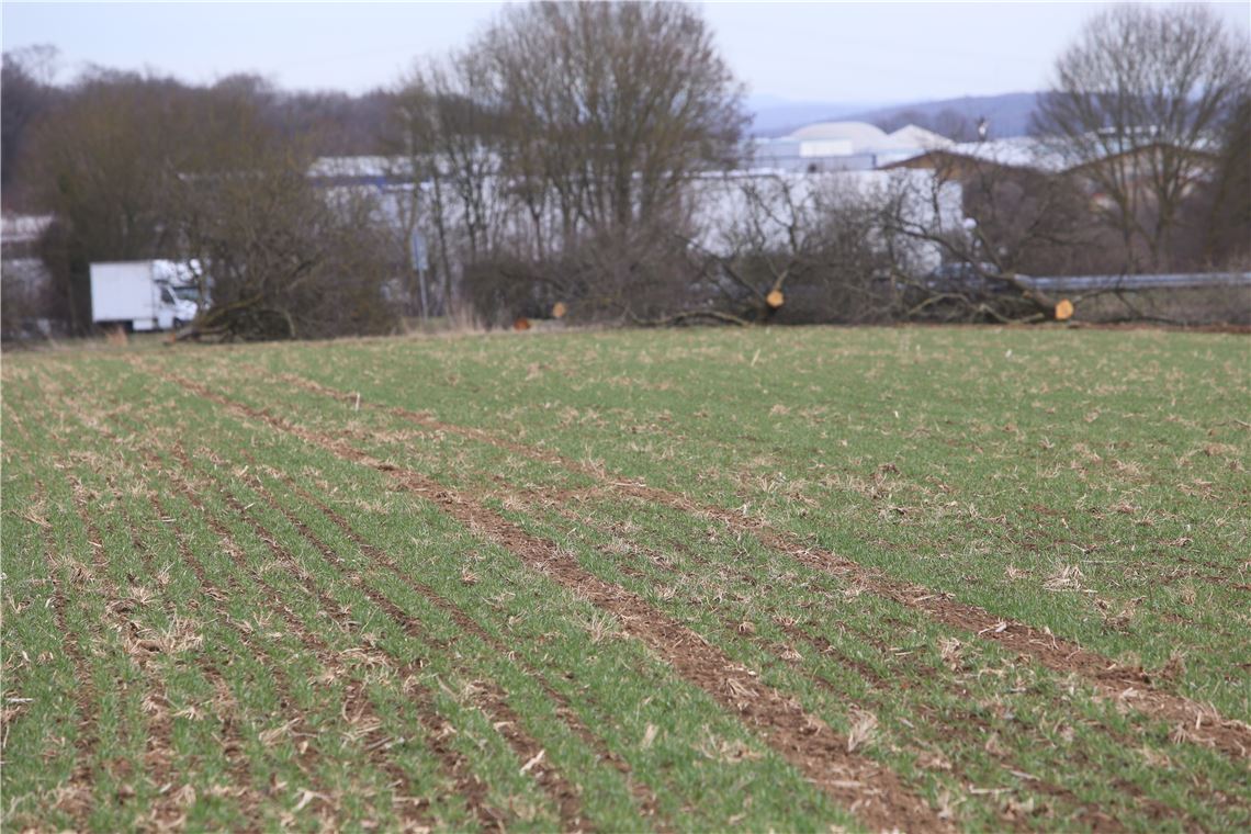 lh Gewerbegebiet Lug-Osttangente (19)