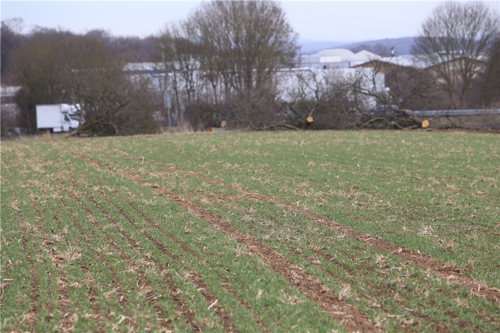 lh Gewerbegebiet Lug-Osttangente (19)