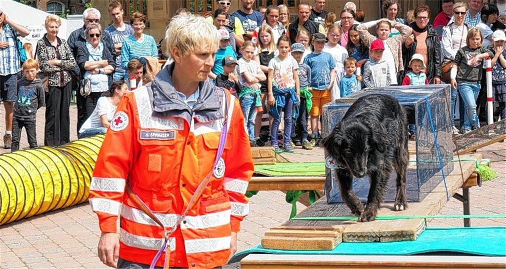 Maultaschenfest des DRK ist ein voller Erfolg