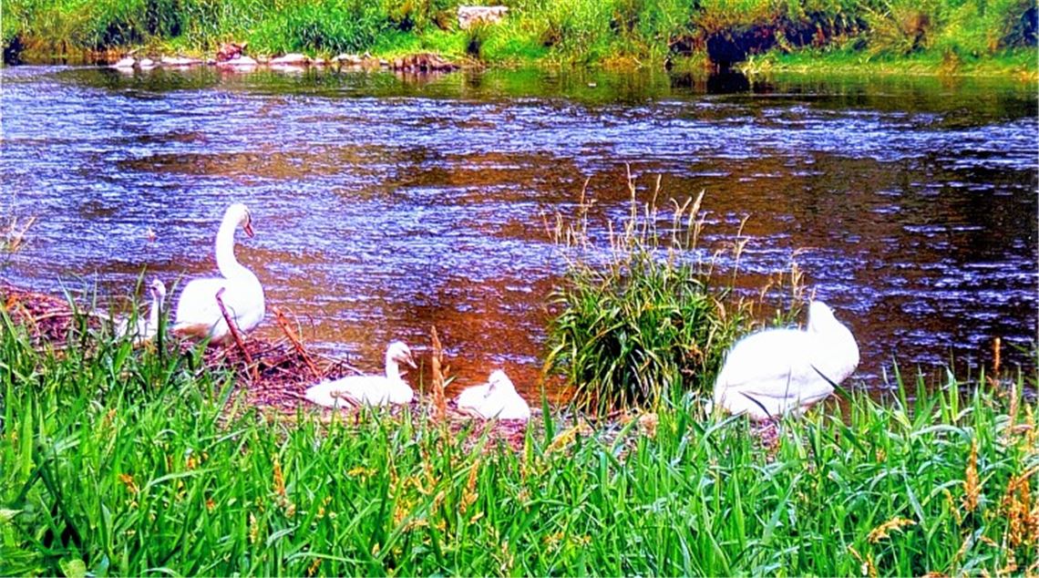 Sommerzeit Sommerzeit