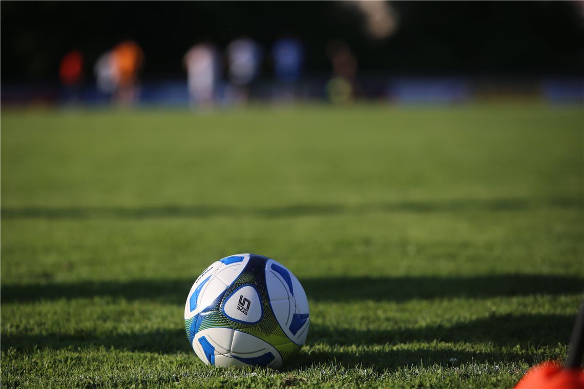 lh 08 Mühlacker Training (7)