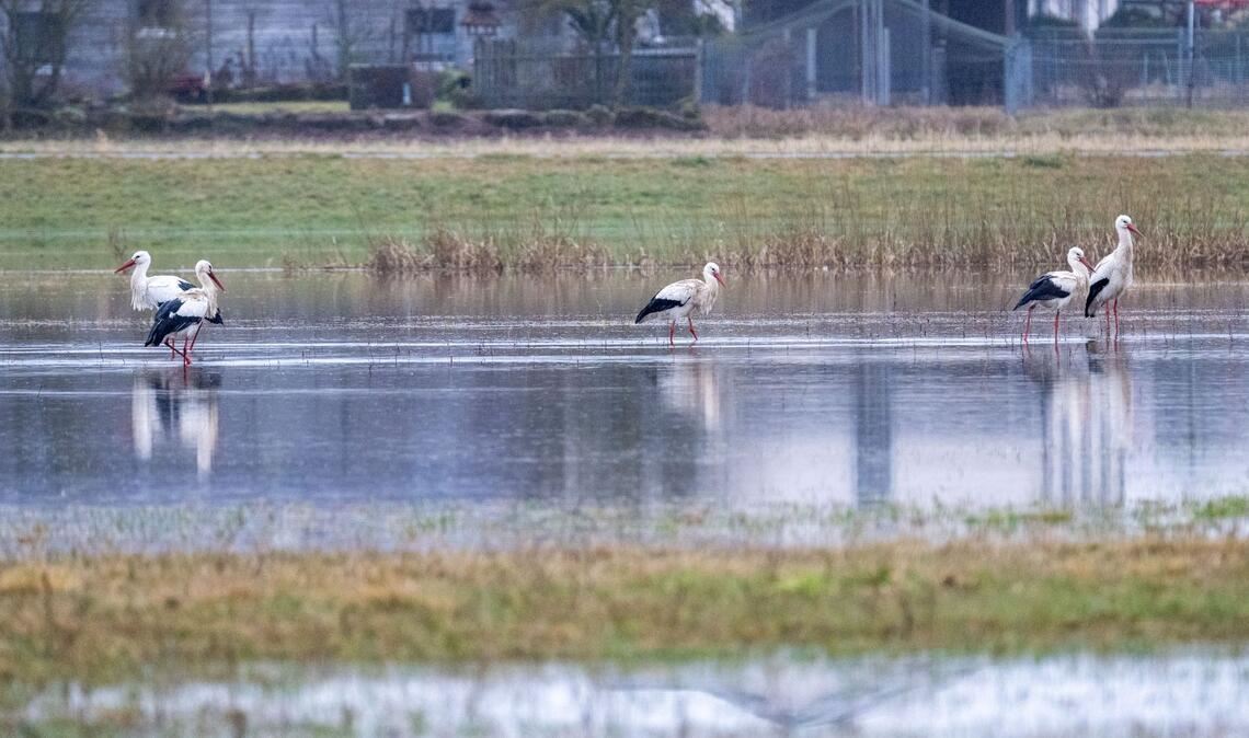 An eigenen Pegeln in Bayern ist die Meldestufe 3 überschritten.