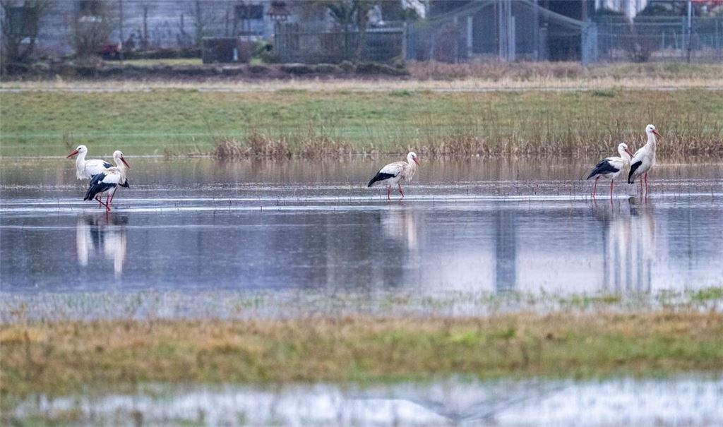 An eigenen Pegeln in Bayern ist die Meldestufe 3 überschritten.