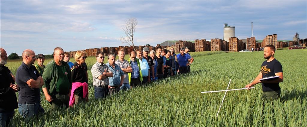 An einem Spritzfenster – hier im Weizen ohne chemische Unkrautbekämpfung – diskutiert Pflanzenproduktions-Berater Sven Nagel vom Landwirtschaftsamt (re.) mit den Landwirten in Friolzheim den durchdachten Pflanzenschutz. Foto: Zachmann