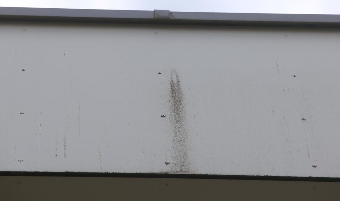 An manchen Stellen waren die Platten kürzlich noch komplett von moosigem Dreck überzogen. Fotos: Disselhoff
