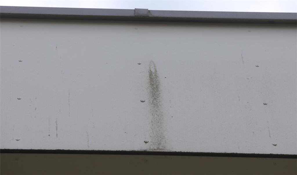 An manchen Stellen waren die Platten kürzlich noch komplett von moosigem Dreck überzogen. Fotos: Disselhoff
