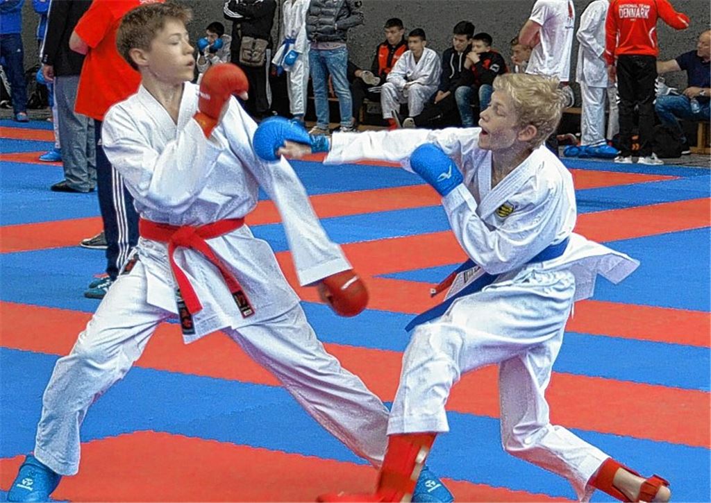 Gelungener DM-Test für Karateka