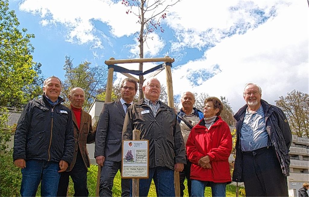 Verwurzelt im Boden und in der Erinnerung