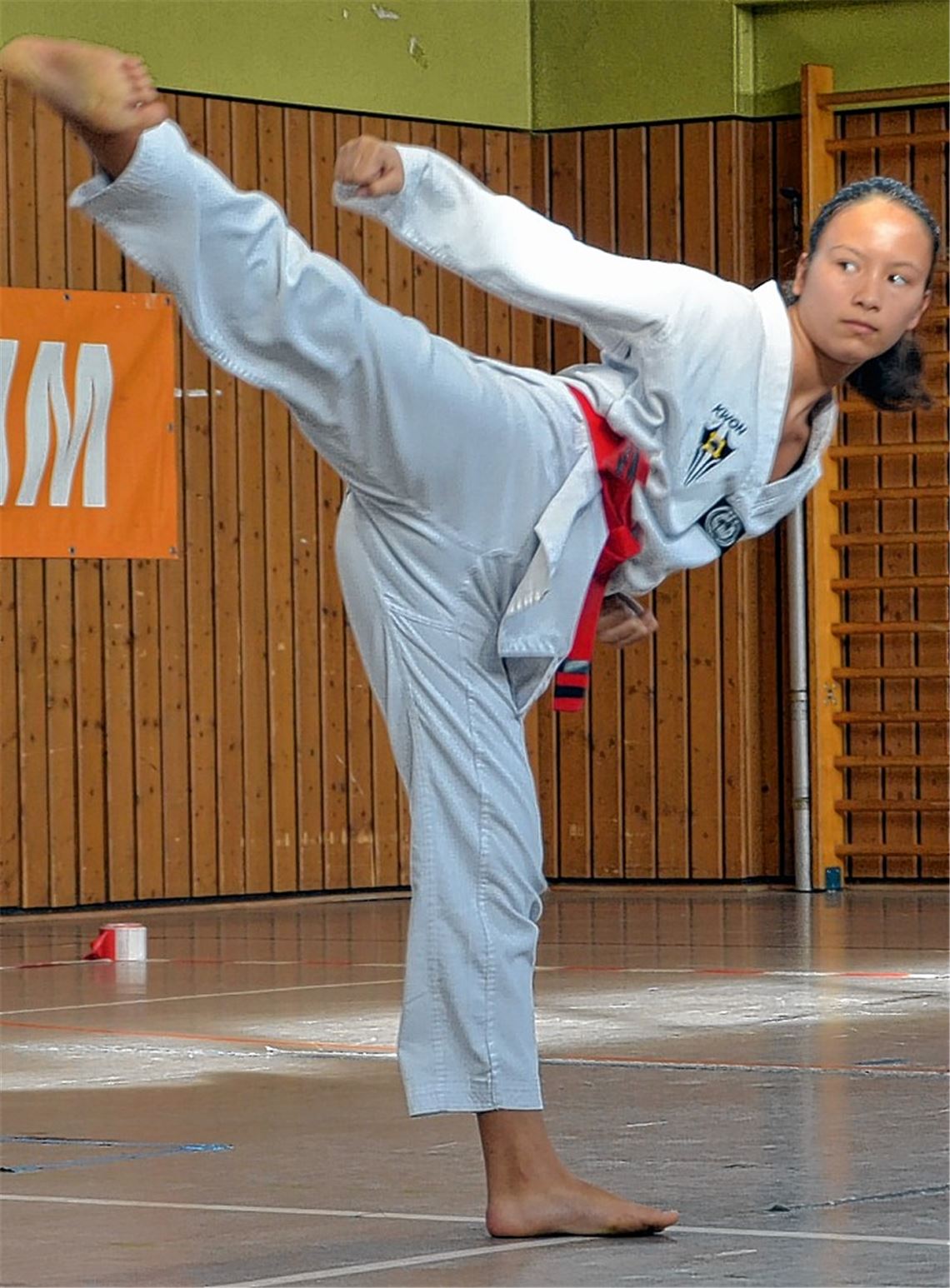 Anfänger und fortgeschrittene Karateka sammeln beim Roba Klostercup in Maulbronn Wettkampferfahrung. Foto: privat