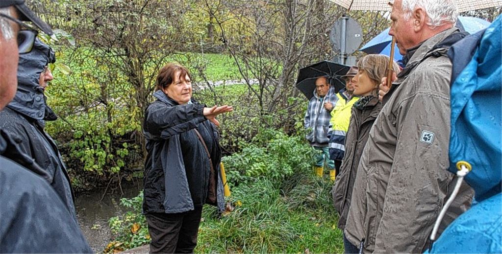 Angelika Groß vom Landratsamt Enzkreis steht am Kreuzbach in Iptingen und beschreibt den Teilnehmern des Gewässernachbarschaftstags die Auswirkungen des Hochwassers im Juni 2013. 