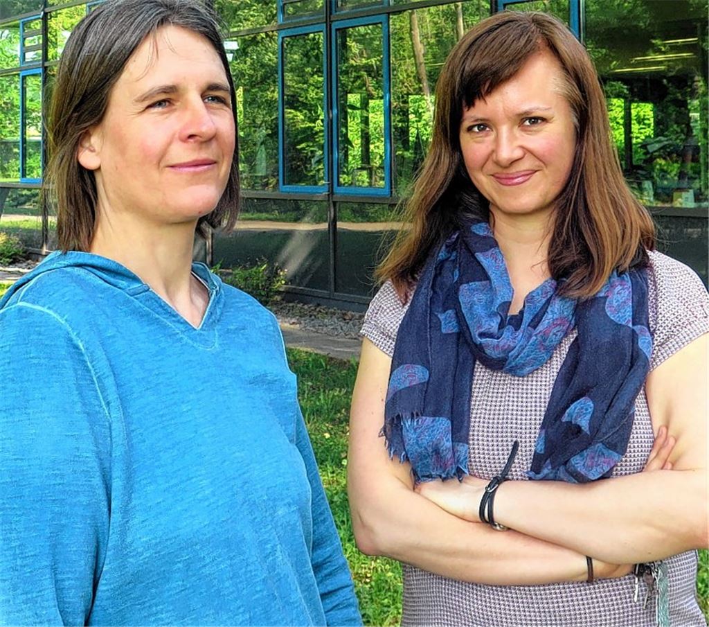 THG-Schülerinnen bestimmen mit