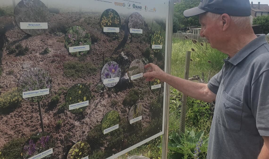 Anregung für private Gartenfreunde: Eine Schautafel zeigt, welche insektenfreundliche Pflanzen im Projektgarten wachsen. Fotos: Schröder