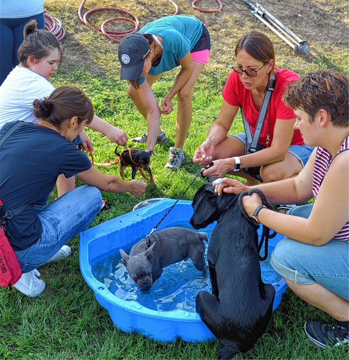 Tierische Rasselbande lernt spielerisch dazu