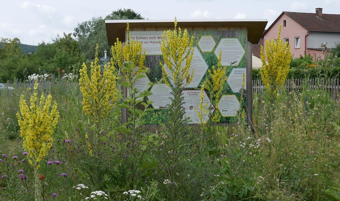 Anschauungsbeispiel: das Areal von „Mühlacker summt!“ in den Enzgärten. Foto: Pfau