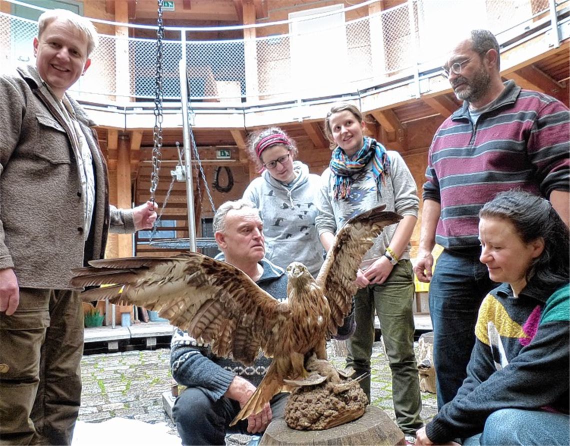 Anschauungsmodell: Der ausgestopfte Rot-Milan braucht nicht mehr aufgepäppelt zu werden, höchstens abgestaubt. Doch so kann man ihn ohne Angst vor Schnabel und Krallen aus der Nähe anschauen und sich von den Fachmännern des Vereins Araneus den richtigen Umgang mit den Tieren erläutern lassen (v.li.): Frank Friedmann, Herbert Keil, Josefin Spallek, Marie Spallek, Thomas Köberle und Christine Schuster.
